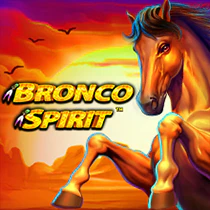 bronco-spirit-5
